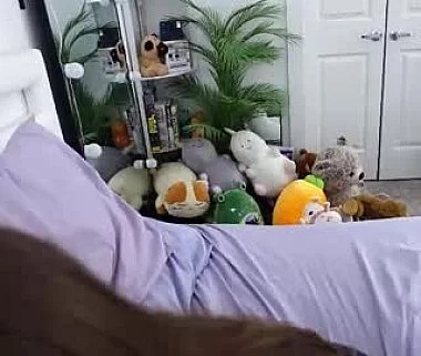 Cam #495990