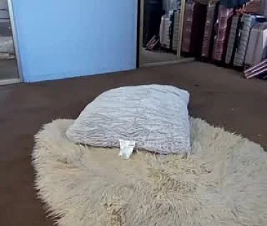Cam #496061