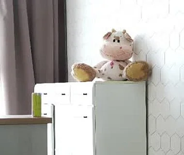 Cam #498362