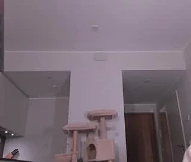 Cam #498936