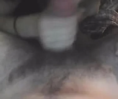 Cam #499136