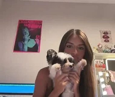 Cam #500335